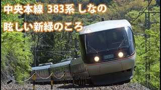 383系 特急「しなの」眩しい新緑のころ　【 中央西線 】列車走行動画 ４K 2024年５月