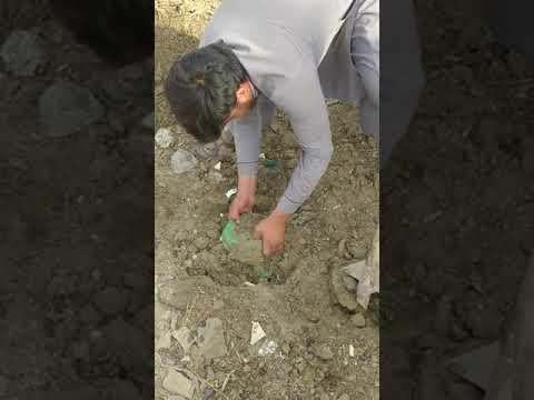 Zameen Sy Sona Nikla Purany Zamny Ki Daig Nikl Aai 