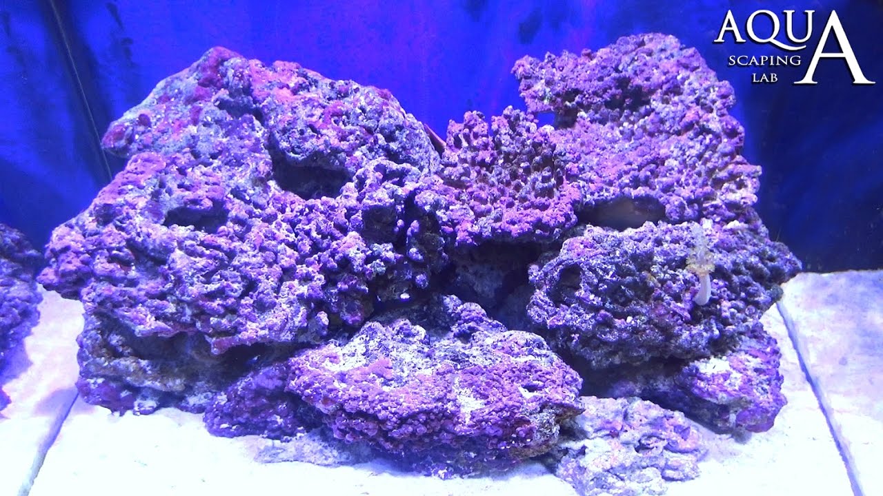 Aquascaping Lab Live Reef Rock for saltwater aquarium, importance and