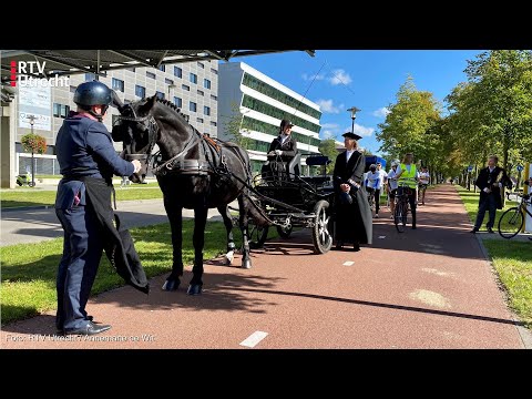 Video: Catosal Voor Katten: Instructies Voor Gebruik In De Diergeneeskunde, Indicaties En Contra-indicaties, Dosering, Beoordelingen En Analogen