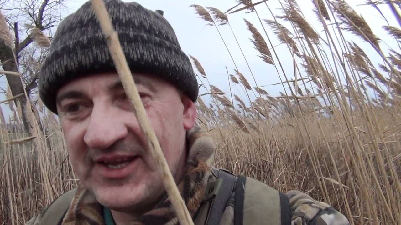 ПРИКОЛЫ НА ОХОТЕ - БРЕВНО - СЮФ КРАСНОДАРСКИЙ - YouTube