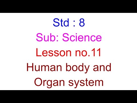 Std : 8 : Science : Lesson no. 11 : Human body and Organ System - YouTube