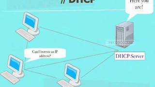 DHCP Animation_1