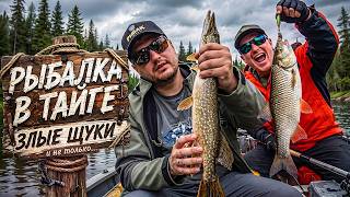 РЫБАЛКА В ТАЙГЕ. ЗЛЫЕ ЩУКИ И НЕ ТОЛЬКО. АРХАНГЕЛЬСК 2026. ВЫПУСК 2