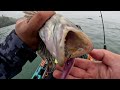 Rockfish Opener 2023