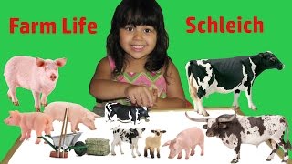 Learn Farm Animals Names For Kids  Animal Toys Video Farm Animals