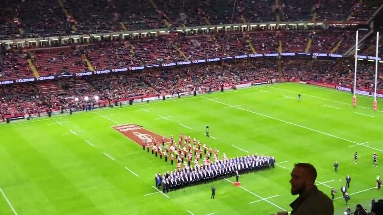 Delilah at Principality Stadium Cardiff Wales vs Allblacks