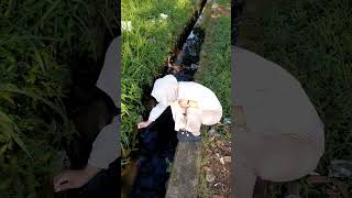 Dapat Ikan Besar