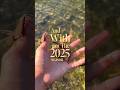 2025 Recap