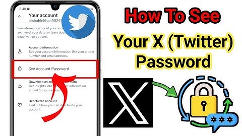 How To See Your X (Twitter) Account Password If Forget It (2025 update) | See Twitter Password