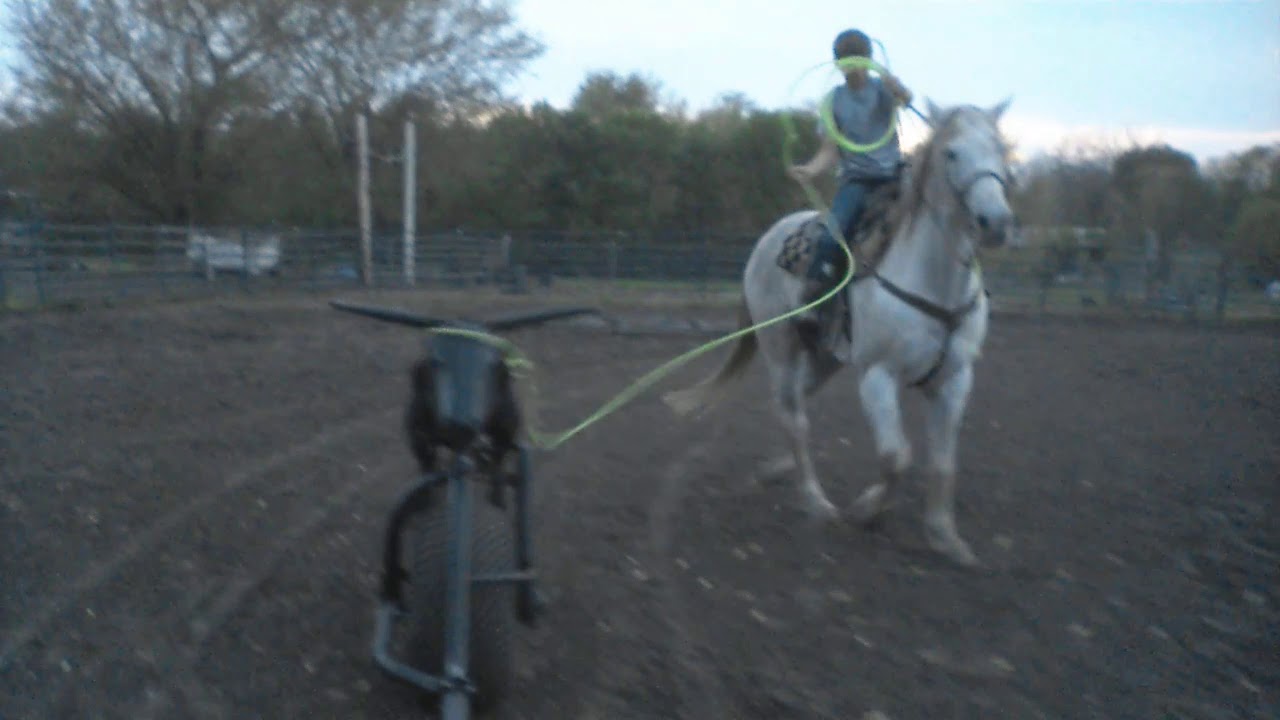 Steering By Ropes Basic ways on how to rope a steer. - YouTube