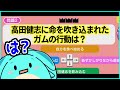 高田健志伝説クイズに挑むすもも【2022/03/14】