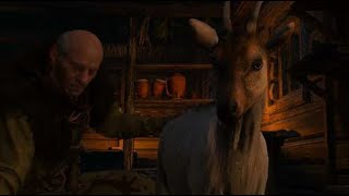 The Witcher 3: Wild Hunt Кровавый барон про Ворожея