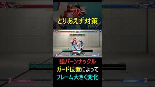 配信初日のテリー対策メモ｜ラウンドウェイブ・パワーウェイブ・バーンナックルのガード後