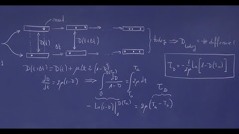 Principles of Biological Design - Seminar 03 - Genome Evolution & Divergence Time