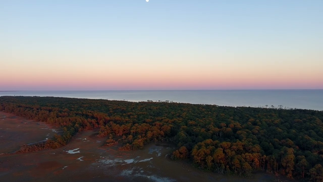 January 1, 2025: Hunting Island 1