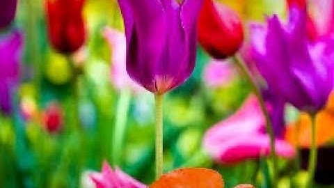 Avoiding Overcommitting and Exhausting Yourself