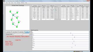 [VHM] Virtual heart model AVNRT simulation