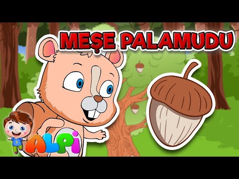 MEŞE PALAMUDU ÇOCUK ŞARKISI - Okul Öncesi Eğitici Çocuk & Bebek Şarkıları