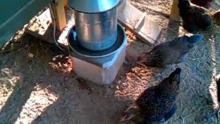 chicken heater water diy coop chickens battery op