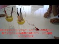 くだもの電池製作キット