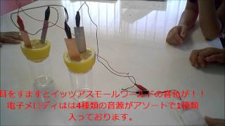 くだもの電池製作キット