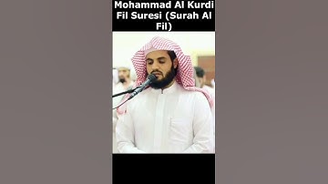 Thumbnail of Mohammad Al Kurdi Fil Suresi (Surah Al Fil)#shorts