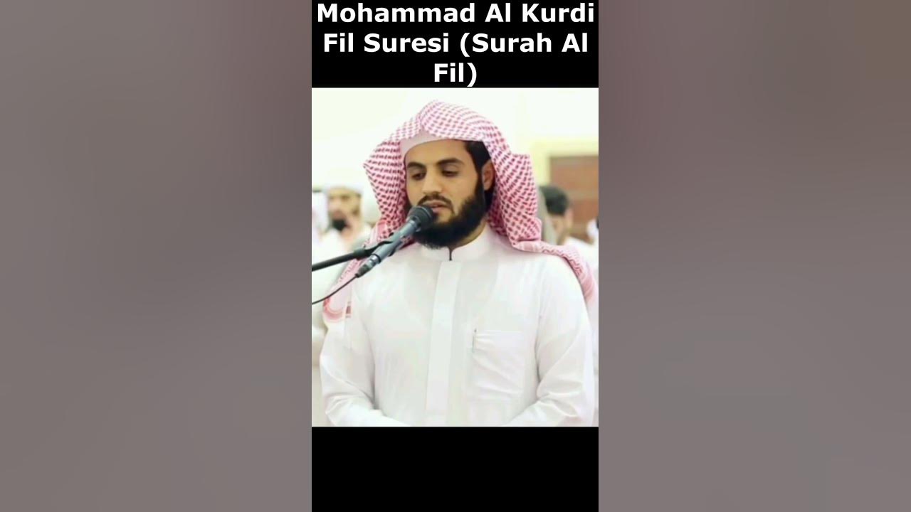 Mohammad Al Kurdi Fil Suresi (Surah Al Fil)#shorts Mohammad Al Kurdi Fil Suresi (Surah Al Fil)#shorts