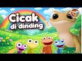 Cicak Cicak di Dinding - Lagu Anak Indonesia Populer