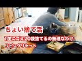 【片付け】掃除　捨て活　お家に居るならお 掃除しよ　シンプルに暮らしたい　月居良子さん　手作りの赤ちゃん服　ベビードレス製作中