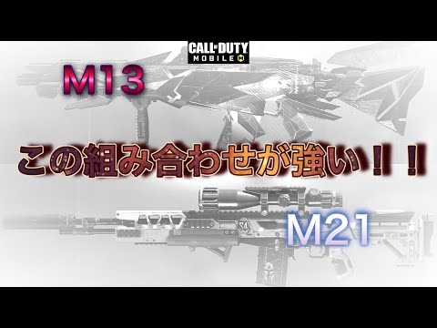 【CODモバイル　バトロワ】〜M13とM21の組み合わせが強い！〜バトロワ限定M34の正体とは！？