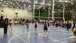 RLVBC 17 vs Synergy 17 Hydra