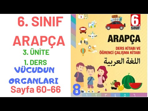 6.Sınıf Arapça |3.ünite |1.ders | Vücut Organları | Sayfa 60-66 | أعضاء الجسم