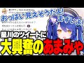 星川のエイプリルフールのツイートを見て大興奮のあまみゃ【にじさんじ切り抜き】