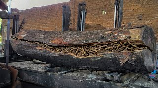 How a Giant Trembesi Log Is Cut in an Extreme Sawmill Without Safety Gear