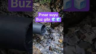 Sabah Serinliğinde Köyümüzün Pınarından Buz Gibi Suyumuzu Doldurduk