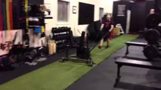 Prowler Sled Walk Backwards