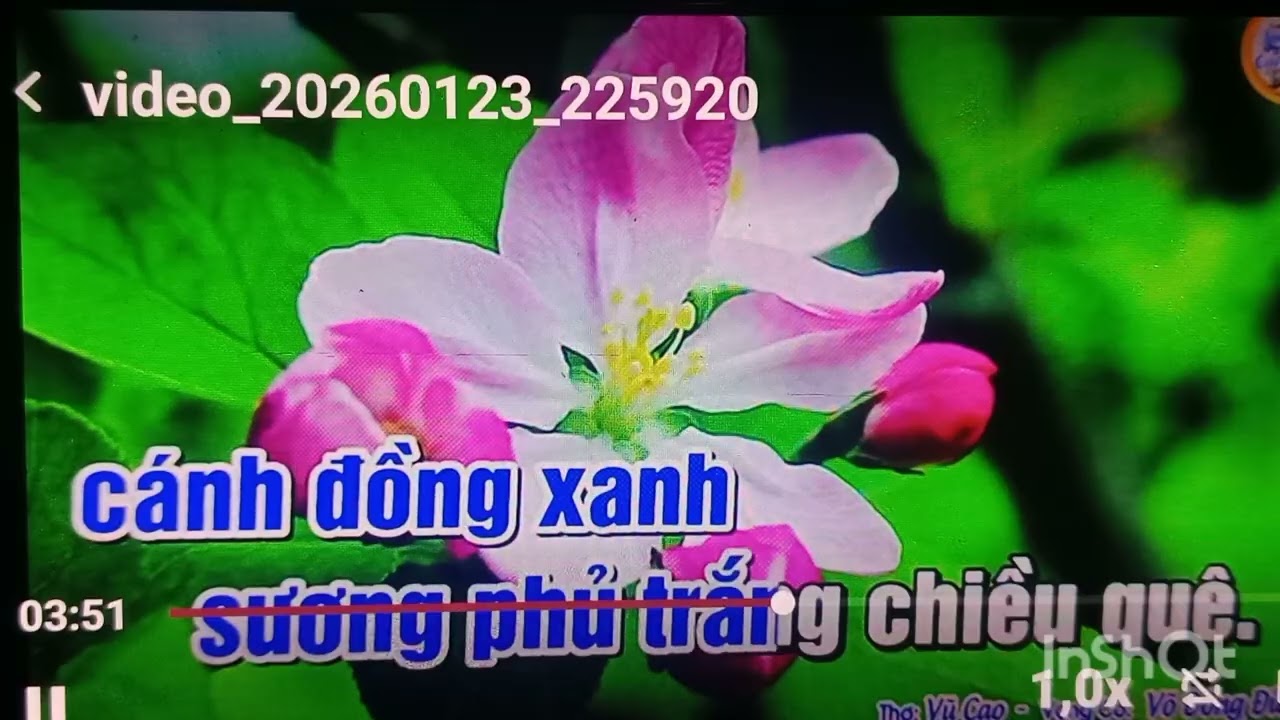 Karaoke VC,, Núi Đôi,,dây đào non,, Minh Thành đờn Guitar & sến 