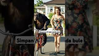 Janda Mengejar Simpanse  funny simpanse girls