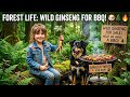 🔥 Amazing Forest Life | Little Girl Sells Wild Ginseng to Treat Her Dogs to BBQ 🐶🌲