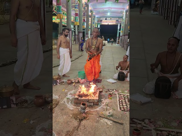 #Vasthusanthi #Homam #Sri #Natarajar #Temple Aani Festival #Deekshithars #Reels #Shorts 15.6.23 class=