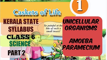 Part2 Class6 Science CASKETS OF LIFE CLASS 6 KERALA STATE SYLLABUS Science Chapter1