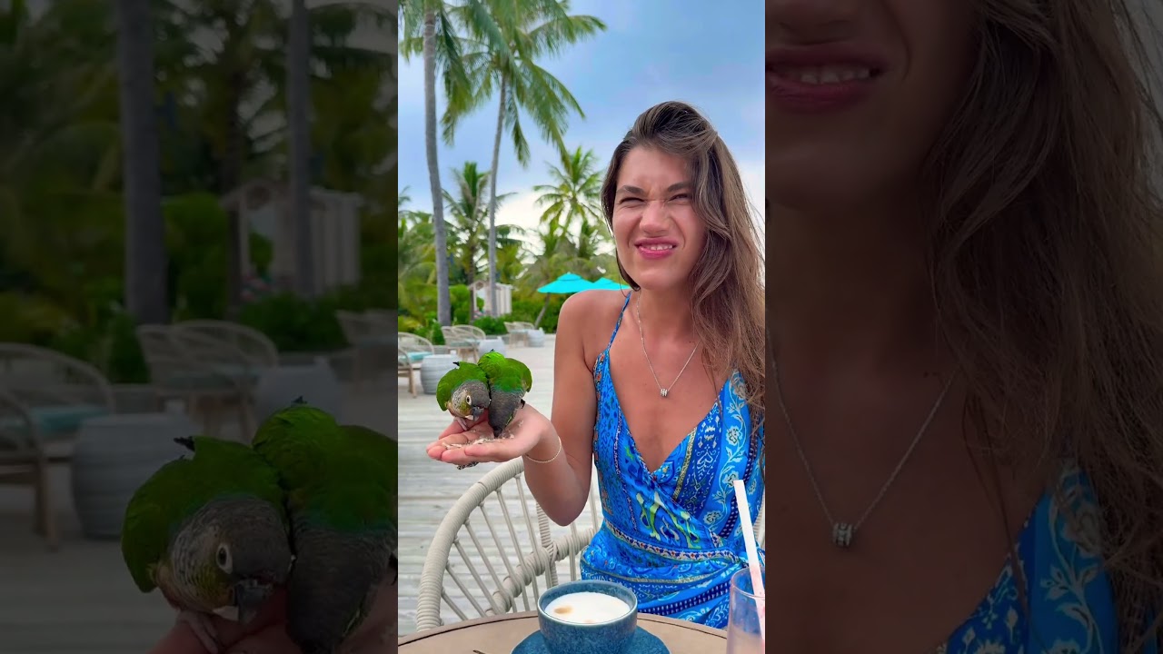 When birds BITE you 🥹🤣 