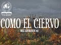 Como El Ciervo Miel San MarcosVoz mp3
