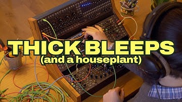 Audio, modulation, or both? Let