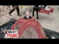 Science Fair Volcano | Walk the Prank | Disney XD