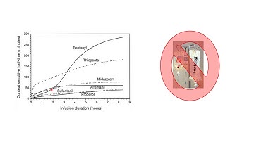 Context Sensitive Half Time_part 2