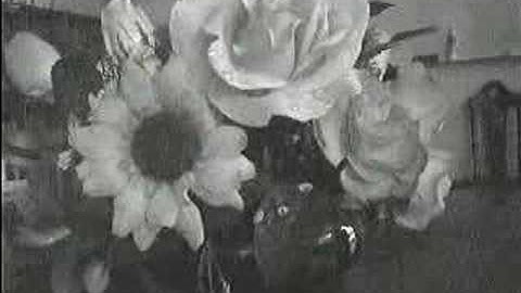 MISUMI-Digital Noise Reducer