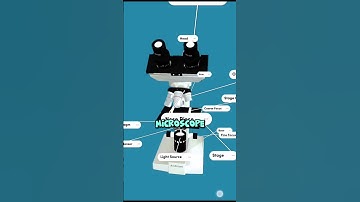 ⚠️🔬"You’re Missing an Entire Universe You Can