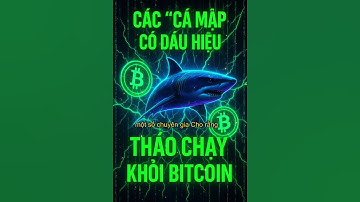 Các ‘cá mập’ đang có dấu hiệu tháo chạy khỏi Bitcoin #địakinhtế360 #giávàng #đầutư #bitcoin  #sjc